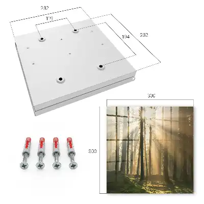 Lumière de forêt à l'atmosphère magique