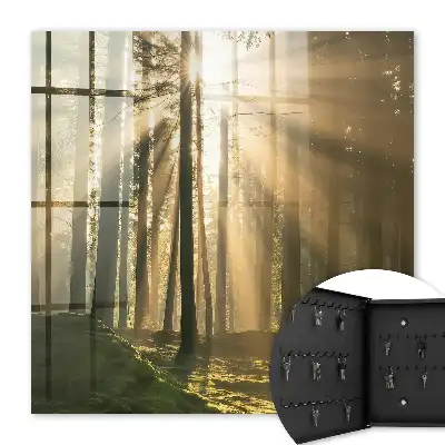 Lumière de forêt à l'atmosphère magique
