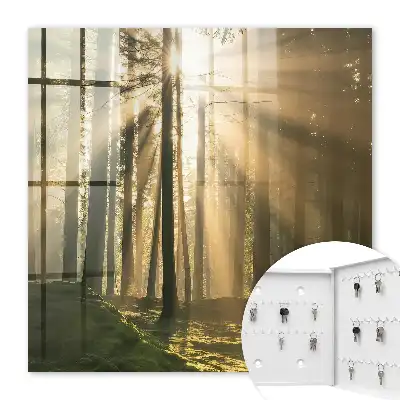 Lumière de forêt à l'atmosphère magique