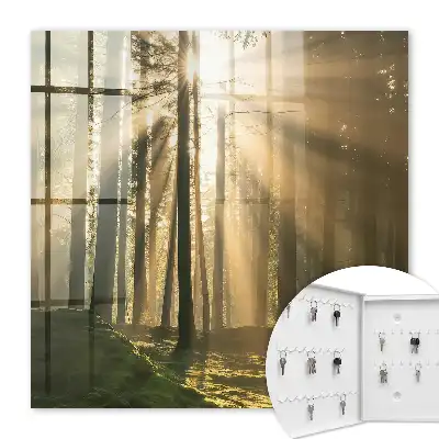 Lumière de forêt à l'atmosphère magique