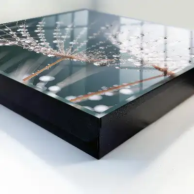Des gouttes d'eau dans les brins d'herbe