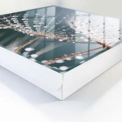 Des gouttes d'eau dans les brins d'herbe