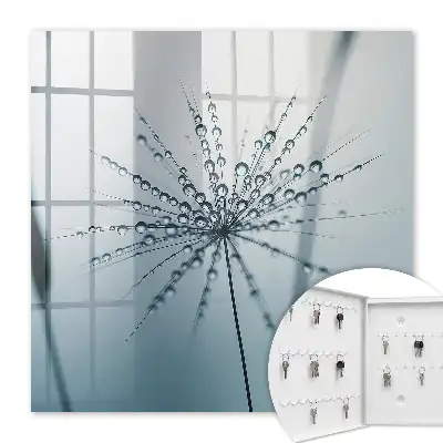 Pissenlit et gracieuses gouttes d'eau