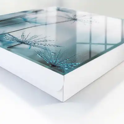 Pissenlits et rosée, détails de la nature