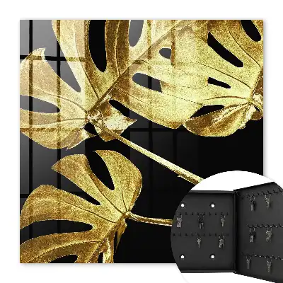 Feuilles de Monstera sur fond noir