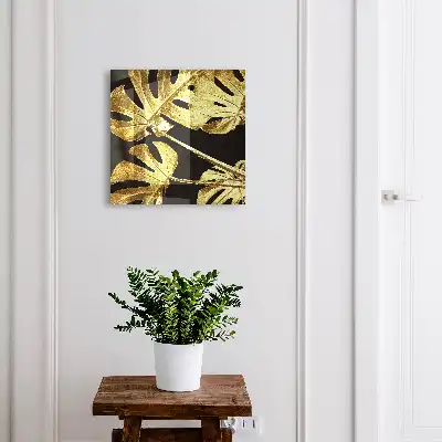 Feuilles de Monstera sur fond noir