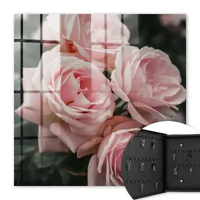Bouquet de roses roses en pleine floraison