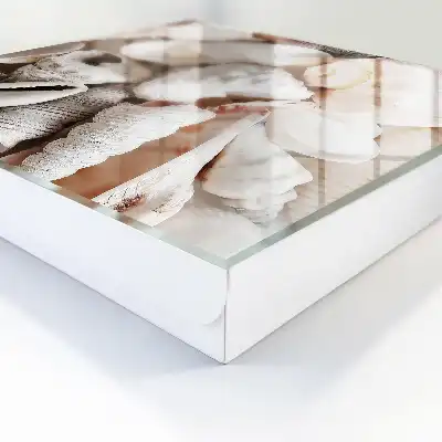 Harmonie des nuances de beige en bord de mer