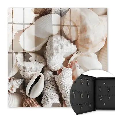 Harmonie des nuances de beige en bord de mer
