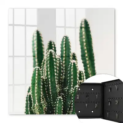 Cactus verts de style moderne