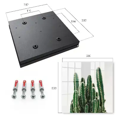 Cactus verts de style moderne