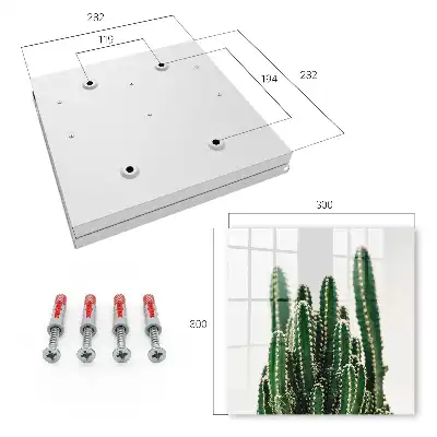 Cactus verts de style moderne