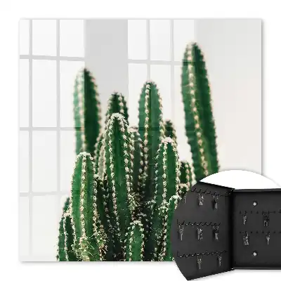 Cactus verts de style moderne