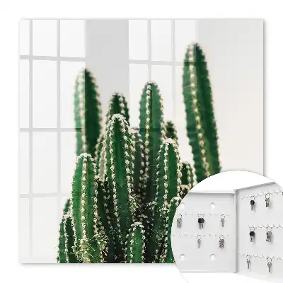 Cactus verts de style moderne