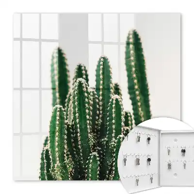 Cactus verts de style moderne