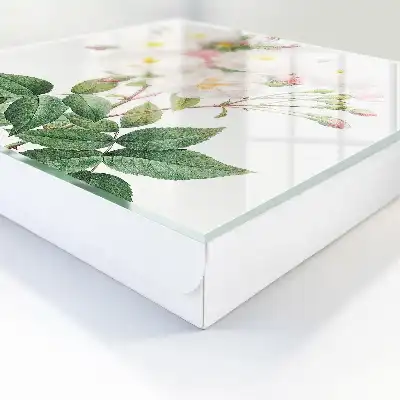 Le charme floral des tiges vertes