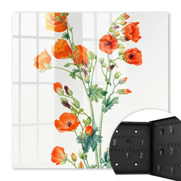 Coquelicots orange et verts