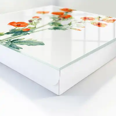 Coquelicots orange et verts