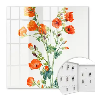 Coquelicots orange et verts