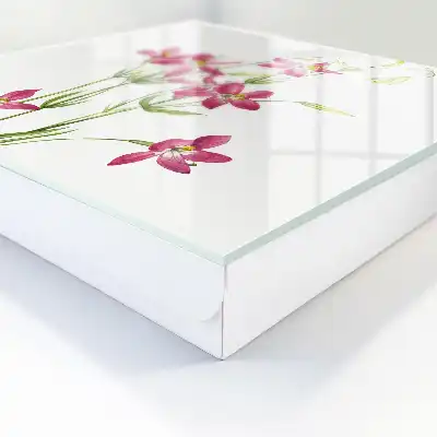 Fleurs roses sur fond clair