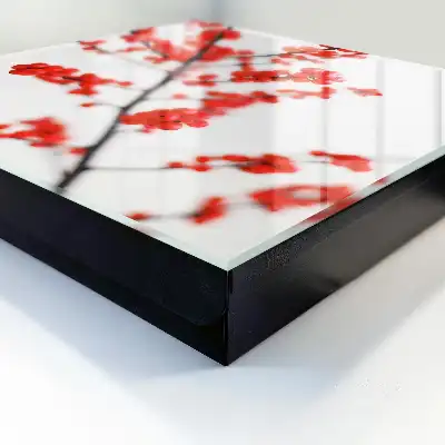 Baies rouges sur fond clair