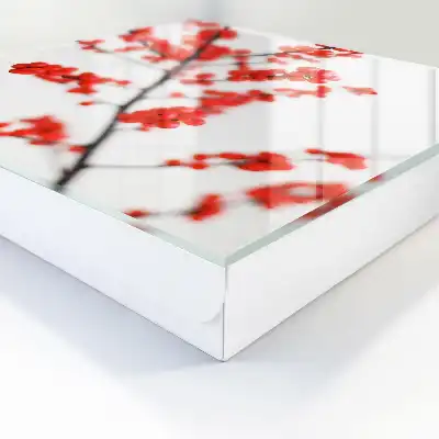 Baies rouges sur fond clair