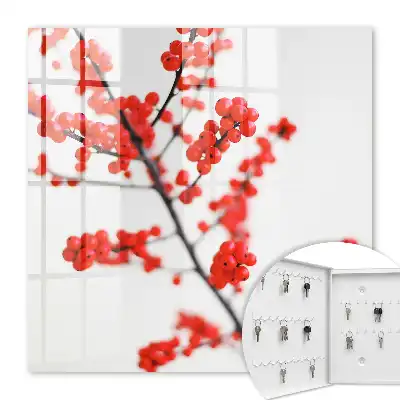 Baies rouges sur fond clair