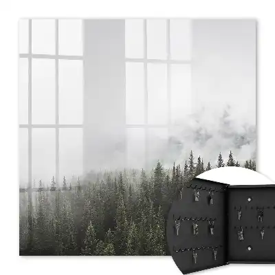 Pins brumeux dans la verdure