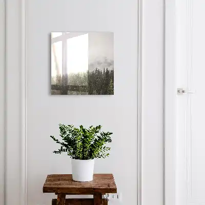 Pins brumeux dans la verdure