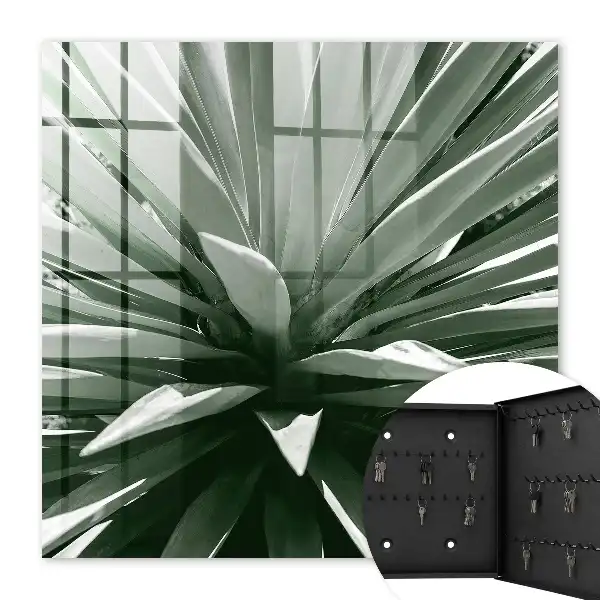 Composition naturelle d'agave