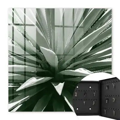 Composition naturelle d'agave