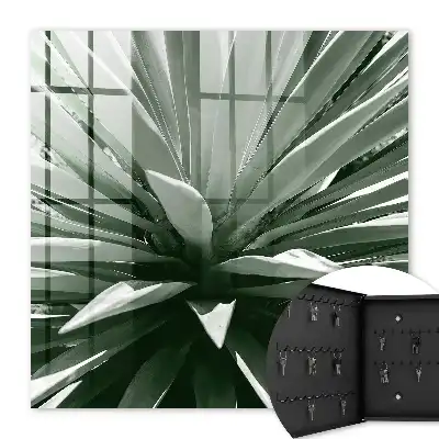 Composition naturelle d'agave