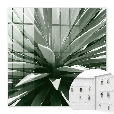 Composition naturelle d'agave