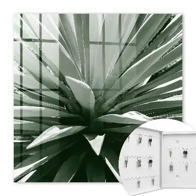 Composition naturelle d'agave