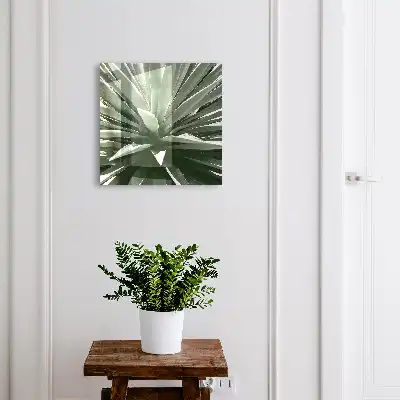 Composition naturelle d'agave
