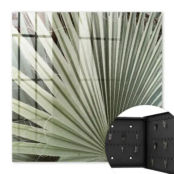Feuilles de palmier décoratives élégantes