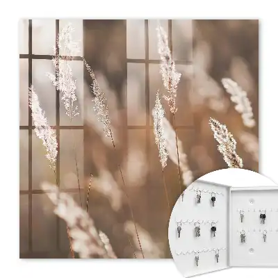 Herbes de prairie en arrière-plan flou