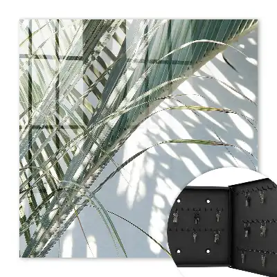 Palmiers et ombres sur fond clair