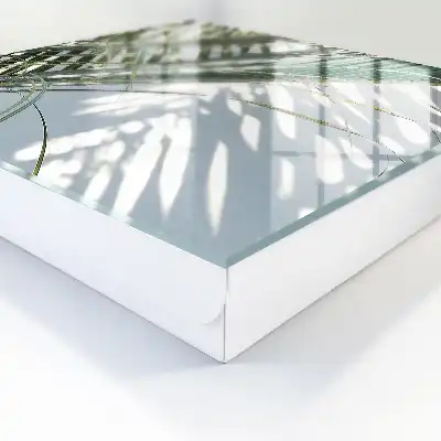Palmiers et ombres sur fond clair