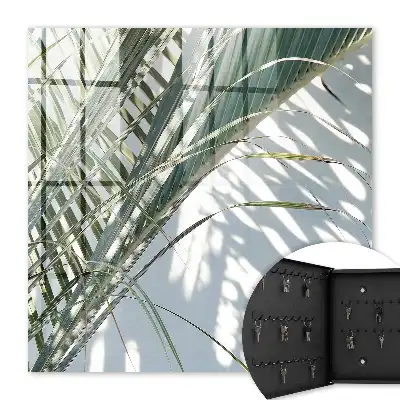 Palmiers et ombres sur fond clair