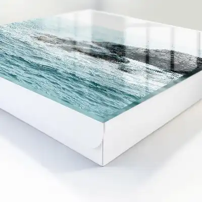 Vagues de mer avec des rochers
