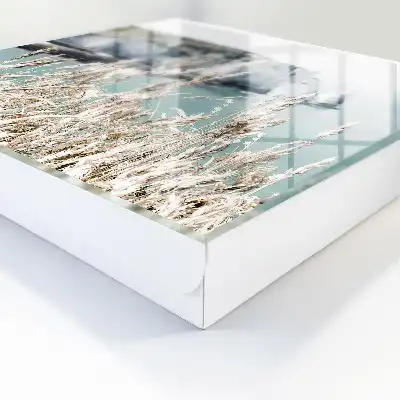 Falaises et herbes délicates