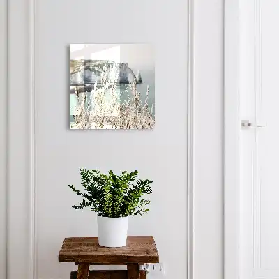 Falaises et herbes délicates