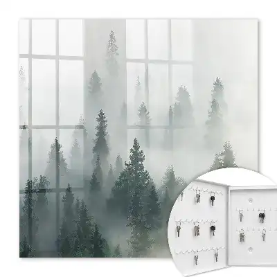 Forêt brumeuse dans le brouillard matinal