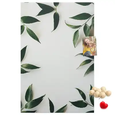 Tableau affichage liège Pommeau en feuille verte