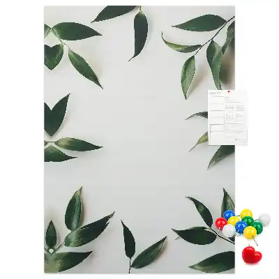 Tableau affichage liège Pommeau en feuille verte