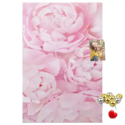 Tableau affichage liège Fleurs d'été