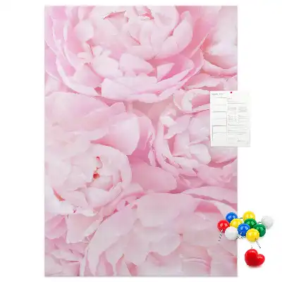 Tableau affichage liège Fleurs d'été