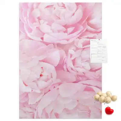 Tableau affichage liège Fleurs d'été
