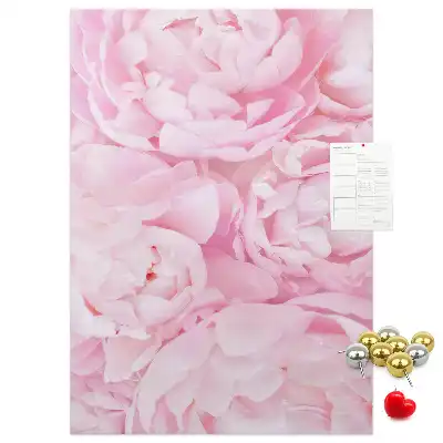 Tableau affichage liège Fleurs d'été